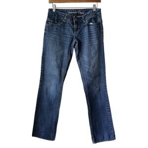 American Eagle Vintage 77 Straight Low-rise jeans size 2